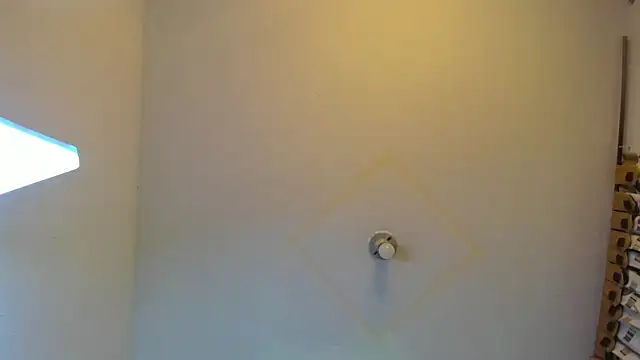 wandaliones online show from 28, 2, 2025