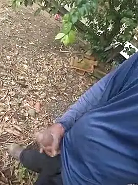 Snapshot of 1662 chatting on 29, 10, 2025 1662 online show from 29, 10, 2025