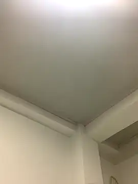 Bella still online show from 21, 10, 2025