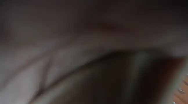 jazmin mature  online show from 21, 3, 2025