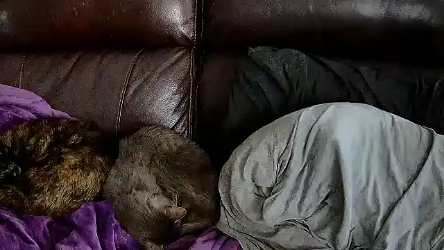 StonerPrincessGenie online show from 6, 3, 2025