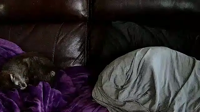 StonerPrincessGenie online show from 6, 3, 2025