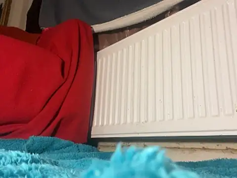 Snapshot of iccmananal chatting on 23, 12, 2025 iccmananal online show from 23, 12, 2025