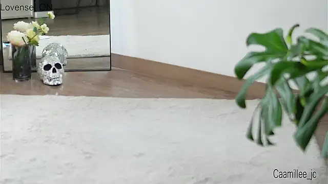 caamillee  online show from 24, 2, 2025