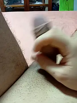 JAPYT online show from 2, 3, 2026