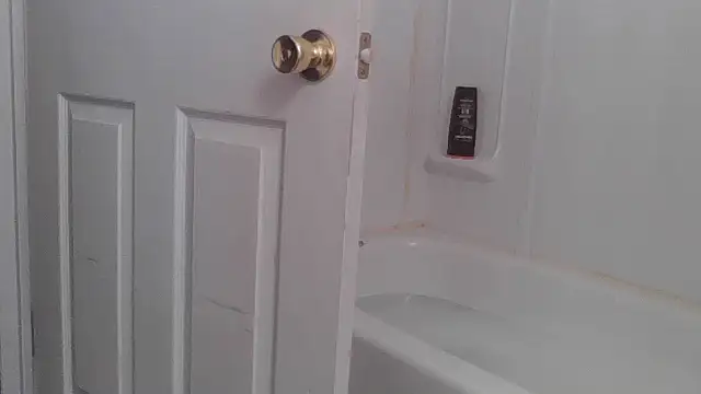 yourcourage1 online show from 11, 10, 2025