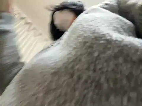 riri riri jp online show from 28, 2, 2026