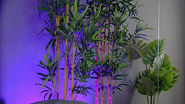 PatriciaSpice online show from 9, 11, 2025