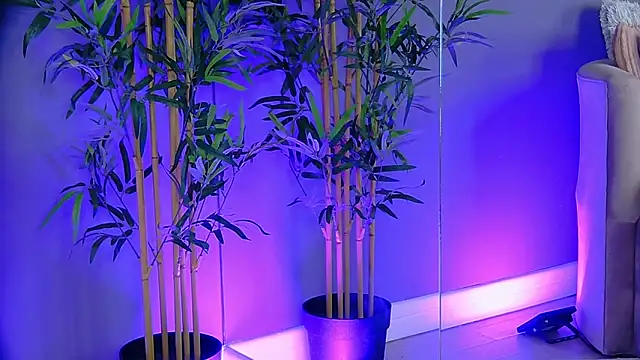 PatriciaSpice online show from 13, 11, 2025