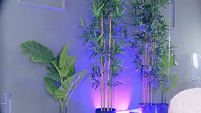 PatriciaSpice online show from 29, 10, 2025