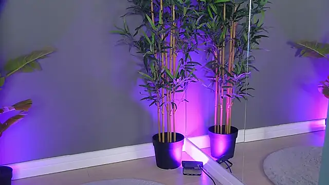 PatriciaSpice online show from 8, 10, 2025