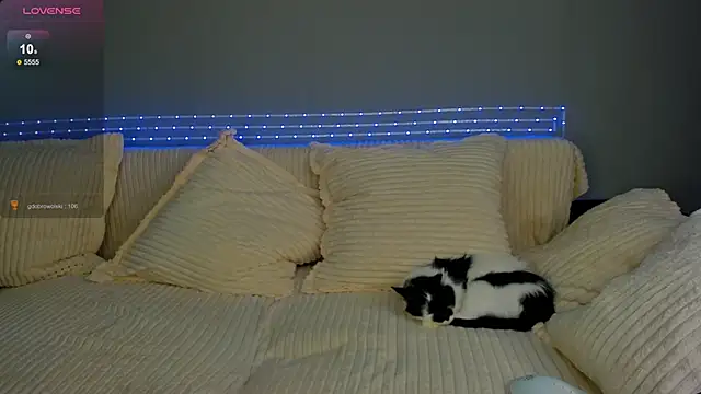 kimberly bohnes online show from 2, 3, 2025