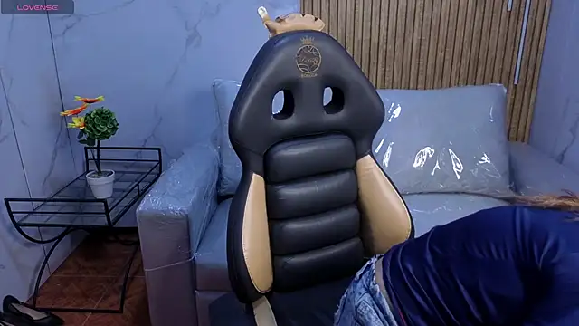 Kitten Cam online show from 12, 2, 2026