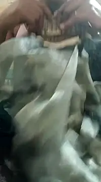 chocobbsimarn online show from 19, 3, 2025