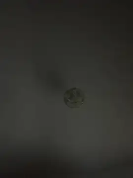 wyattstone online show from 31, 10, 2025