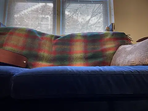 Prolapse Pig online show from 4, 2, 2025