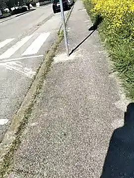 arveia online show from 4, 4, 2026