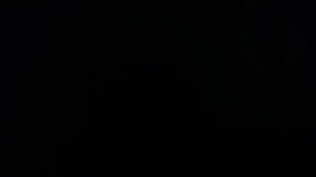 luxurycoupl online show from 4, 11, 2025