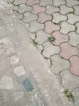 Raj41 online show from 2, 3, 2025