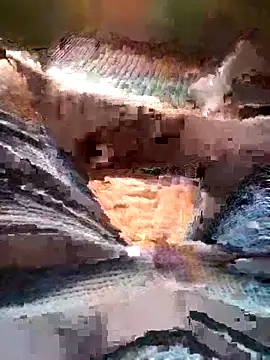 Raj41 online show from 15, 3, 2026