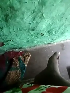 Raj41 online show from 8, 2, 2026