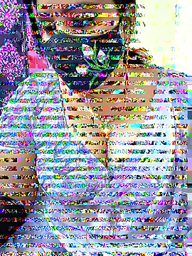 Queenflowerr online show from 17, 11, 2025