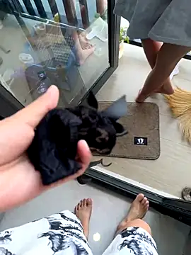 TOP po online show from 30, 10, 2025