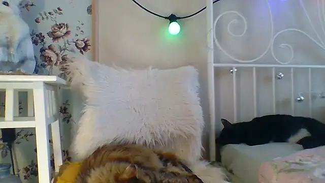 Frankie Foxie online show from 18, 2, 2025