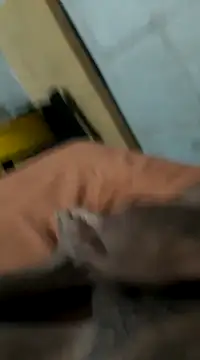 Jxffffv online show from 24, 2, 2025