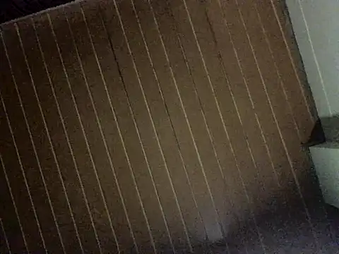 Nooneisthis online show from 3, 12, 2025