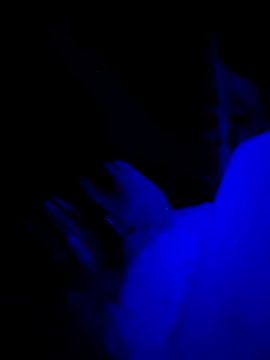 Jagebabe13 online show from 2, 12, 2025