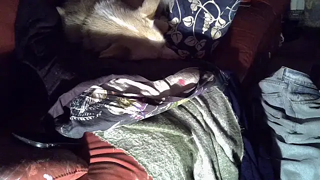 Damn bro23 online show from 15, 1, 2026