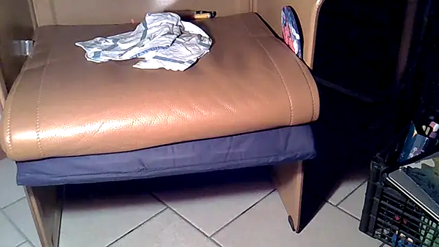 Damn bro23 online show from 28, 11, 2025