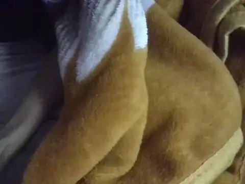 AKANSHA 7 online show from 1, 12, 2025