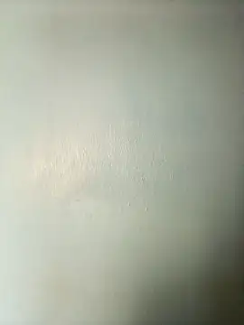 randit7 online show from 20, 3, 2025