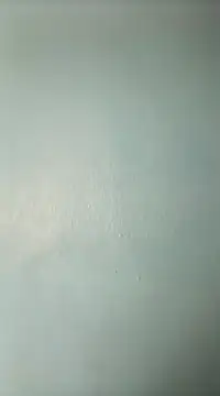 randit7 online show from 19, 3, 2025