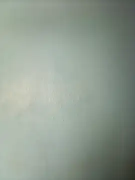 randit7 online show from 13, 3, 2025