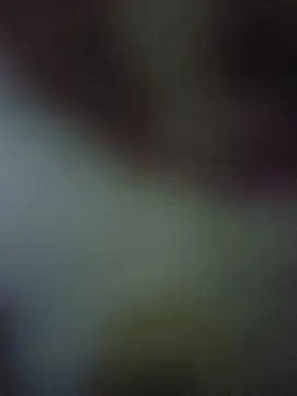 randit7 online show from 10, 11, 2025