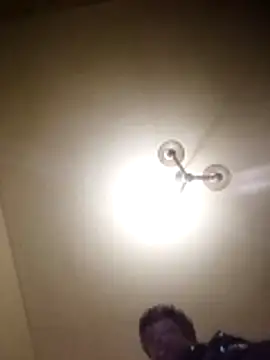 petxxl online show from 29, 11, 2025