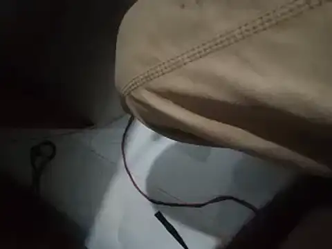 world bigdick1 online show from 29, 11, 2025