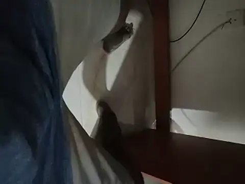 world bigdick1 online show from 22, 9, 2025