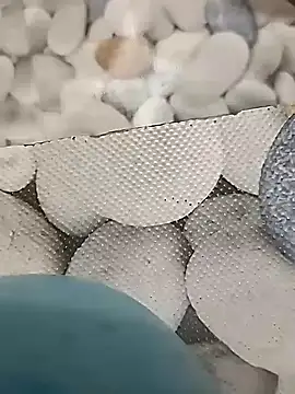 Playboy bhabhi 00 online show from 14, 2, 2025