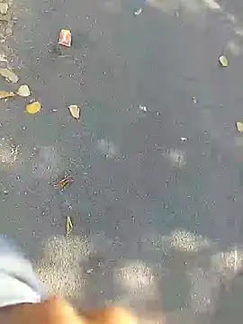 Playboy bhabhi 00 online show from 27, 2, 2025