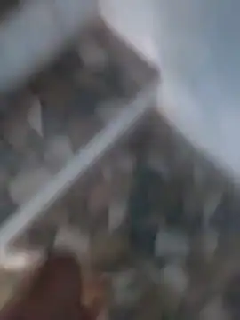 Playboy bhabhi 00 online show from 18, 3, 2025