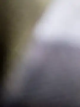 Playboy bhabhi 00 online show from 24, 2, 2025