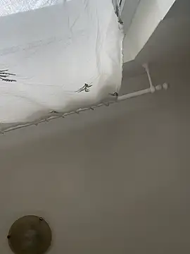 bunnythetailor online show from 20, 2, 2026