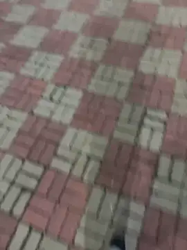 Phil 6677 online show from 12, 10, 2025