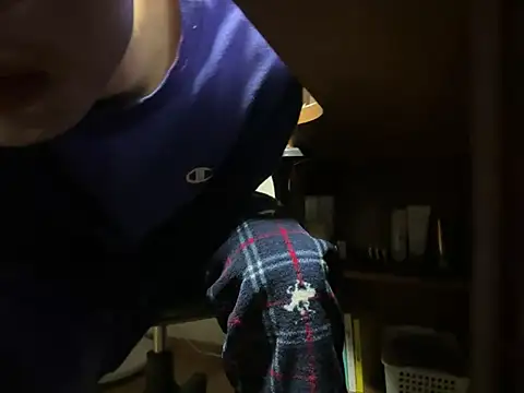 Phil 6677 online show from 4, 4, 2026