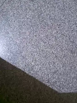 TeluguammayiMahi online show from 21, 3, 2025