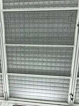 justeqqun online show from 1, 10, 2025